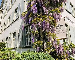 Aussenansicht Fruehling v2